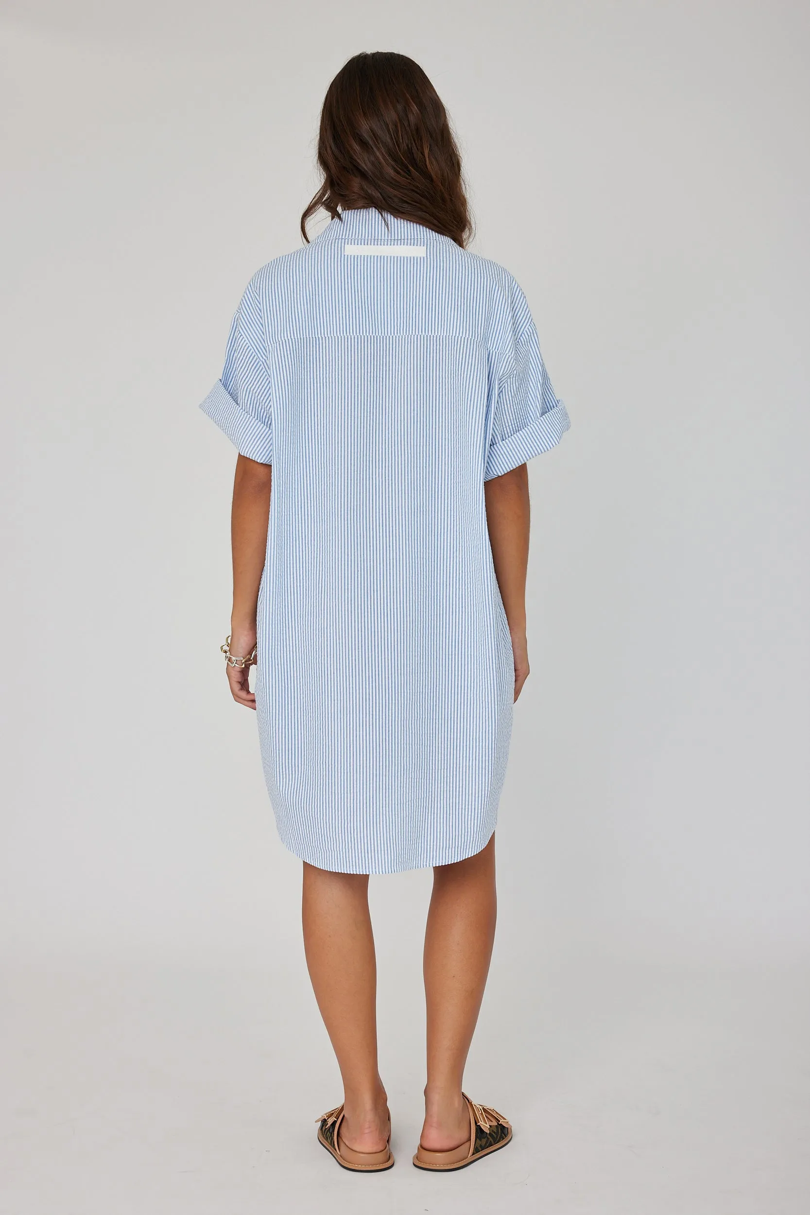 APEX Dress Blue Stripe