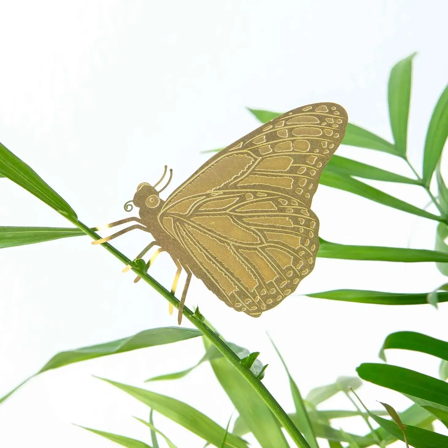 Butterfly Plant Hanger