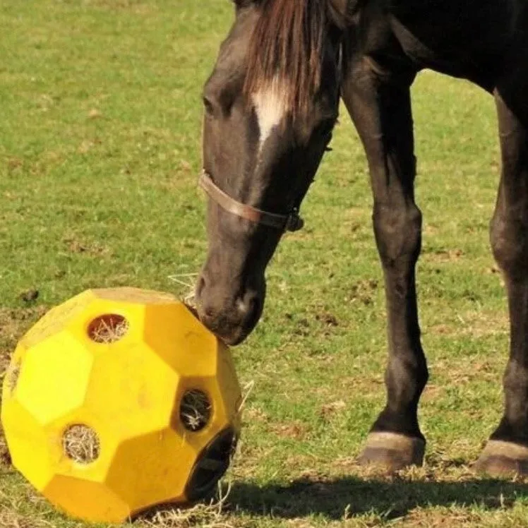 Hay Play Ball