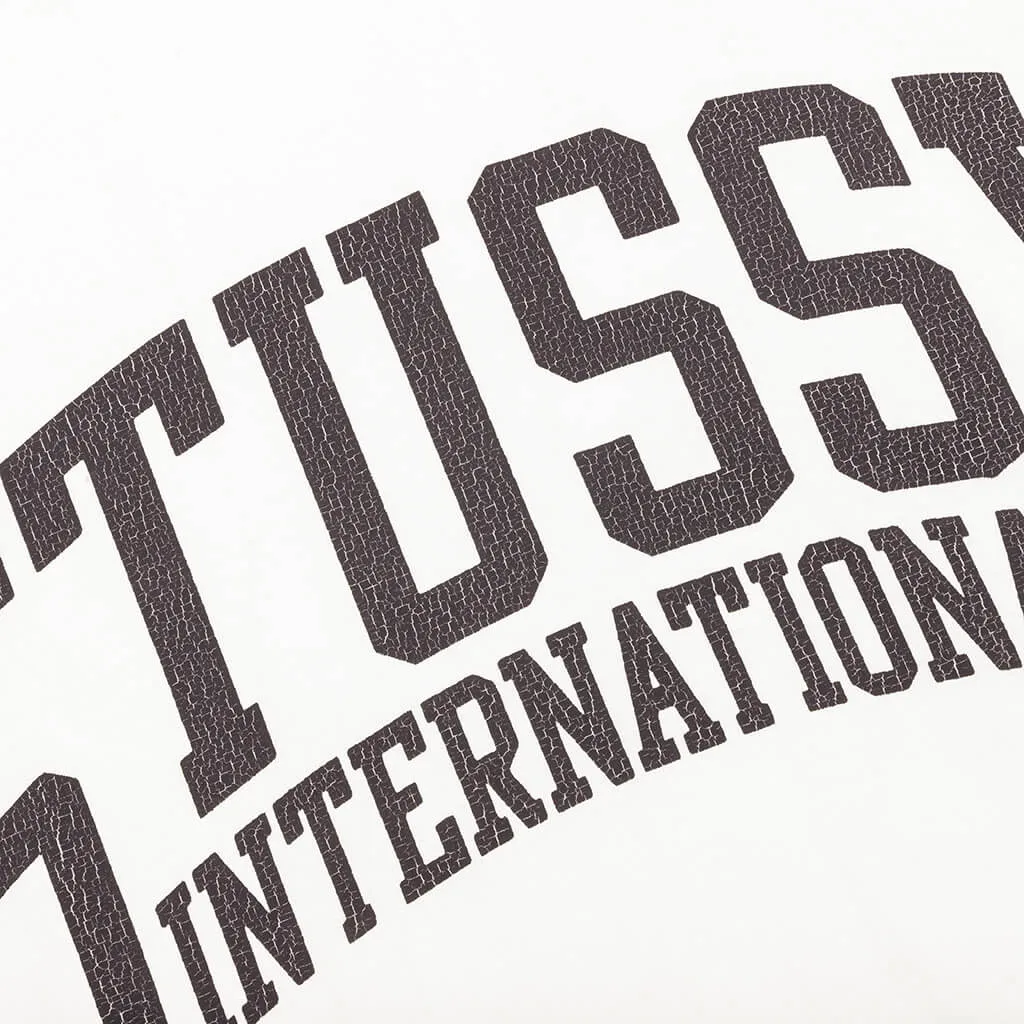 Stussy international Pigment Dyed Tee - Natural